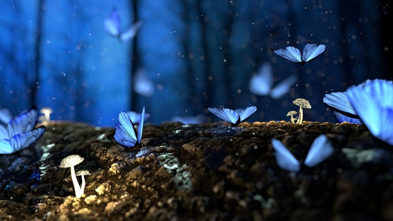 Enchanted Forest Accents